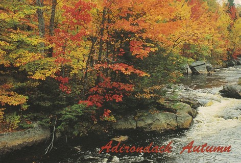 Vintage Unused Postcard: (gin1): Adirondack Autumn