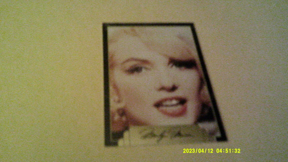 Marilyn Monroe MINT Trading cards in sleeve