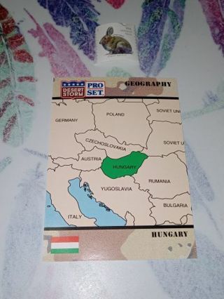 Desert Storm Card