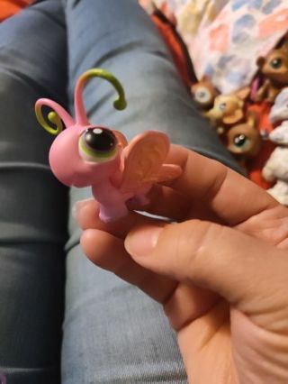 Original Littlest Pet Shop Pink Butterfly