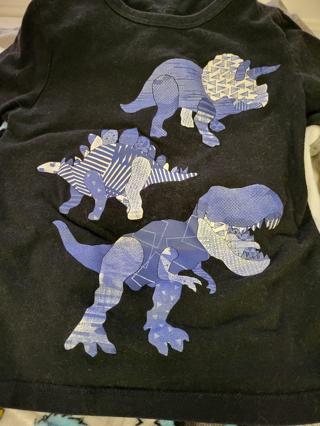 Black Dinosaur shirt