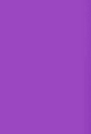 ✨❤️(3) Purple 9" x 12" Poly Mailers ♥️