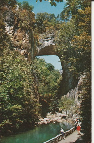 Vintage Unused Postcard: GIN: Natural Bridge, VA