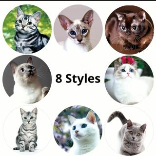 ⭕(8) 1" CUTE CAT STICKERS!!⭕