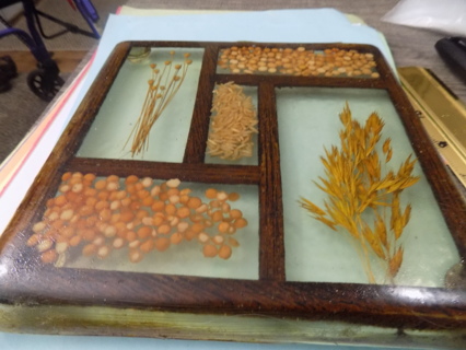 7 1/2 square resin trivet with real seeds and grain and strawflowers embedded in resin