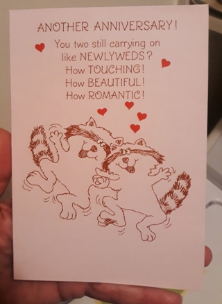 Happy Anniversary card w/Envelope - cute raccoons