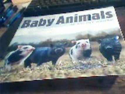 2024 Baby Animals 16 month Calendar