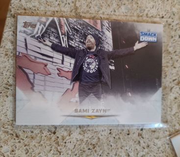 WWE 2020 Topps Sami Zayn Card