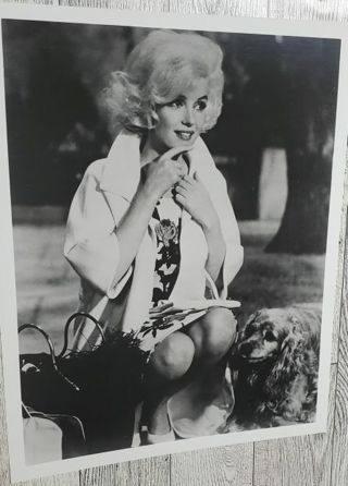 8 x 10" Glossy Photo of Marilyn Monroe!