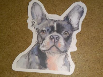 Dog Cute new vinyl sticker no refunds regular mail only Very nice these are all nice