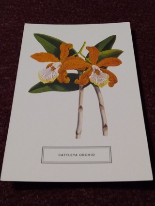 Botanical Postcard - CATTLEYA ORCHID