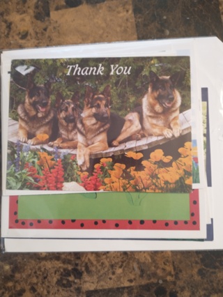 pack of 12 blank thank you notes freeshipping