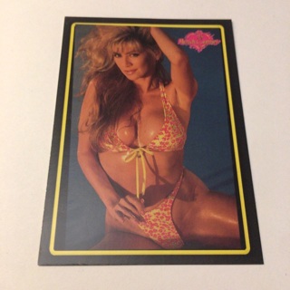 1994 Benchwarmer Trading Card Read description before bidding 