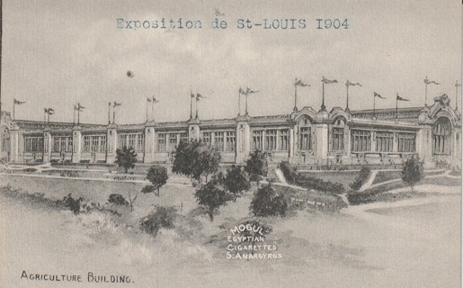 Vintage Unused Postcard: 1904 Exposition de St Louis