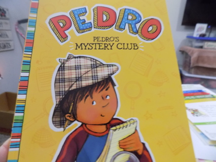 Pedro Mystery club a child's book