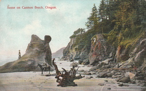 Vintage Used Postcard: 1903 Scene on Cannon Beach, Oregon