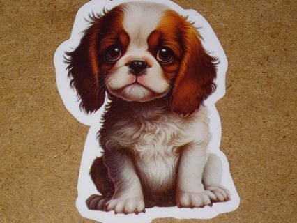 Dog Cute new one vinyl sticker no refunds regular mail only Very nice these are all nice