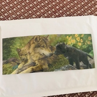 Laminated Wolves Bookmark, Free Mail