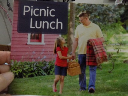 Picnic lunch a child's book