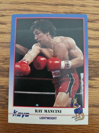 1991 Kayo boxing trading card.