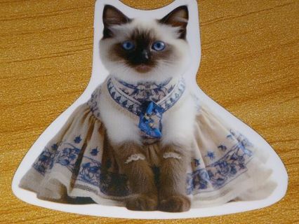 Cat New Cute vinyl sticker no refunds regular mail only Very nice quality!