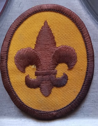 Boy scout scouts bsa joining rank patch