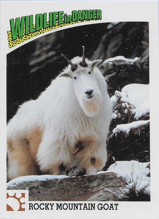 1992 Wildlife In Danger #15 Rocky Mountain Goat