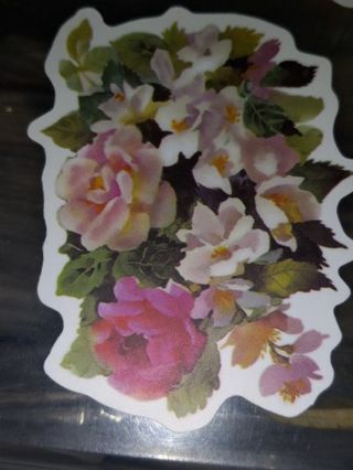 Pretty one nice vinyl sticker no refunds regular mail only Very nice quality!!