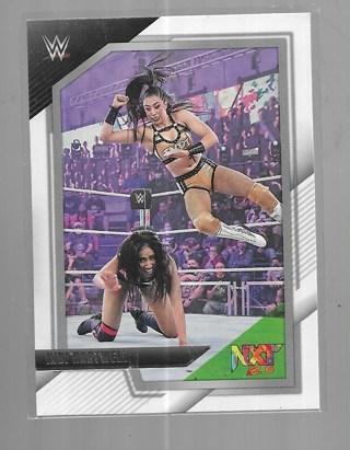 2022 TOPPS WWE INDI HARTWELL #53