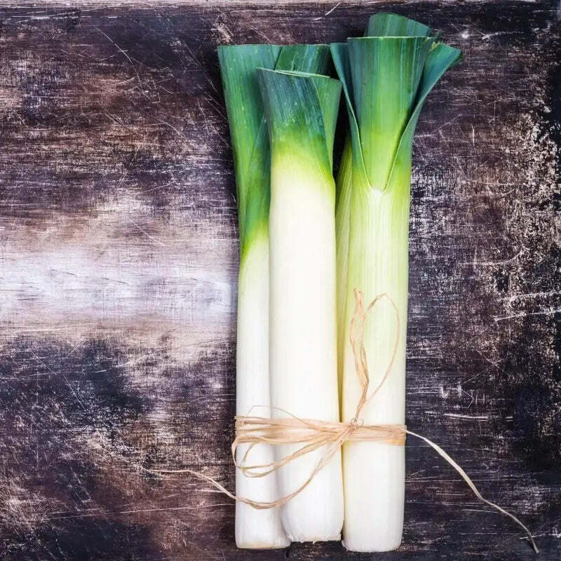 FREE:  1500 Seeds Leek Seeds