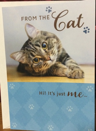 From the Cat Birthday Card