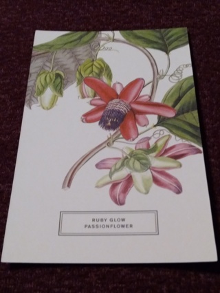 Botanical Postcard - RUBY GLOW PASSIONFLOWER