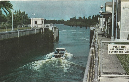 Vintage Unused Postcard: t: St Lucie River in Florida