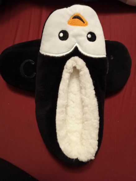 FREE: Penguin slipper socks (great Christmas gift)