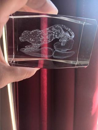 3D Crystal Image Glass Light Figure Paperweight Jaguar Cat on Rocks