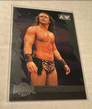 2022 Upper Deck Skybox AEW Metal Universe #15 Jungle Boy Jack Perry