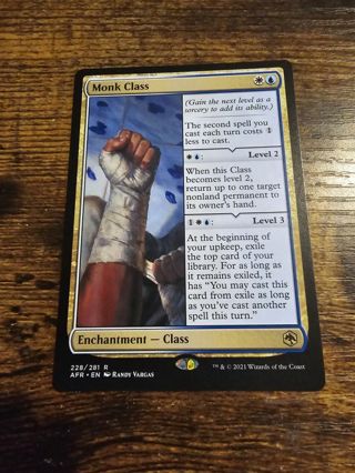 Magic the gathering mtg Monk Class rare card Forgotten Realms