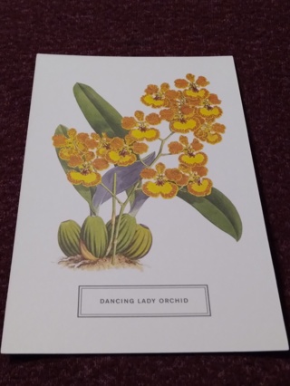 Botanical Postcard - DANCING LADY ORCHID 