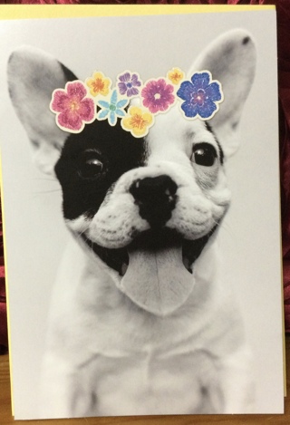 Dog Wearing Flower Headband Birthday Card