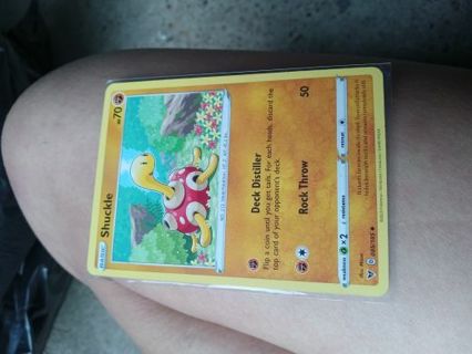 Pokémon Card: Shuckle