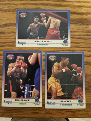 1991 KAYO Boxing trading cards.