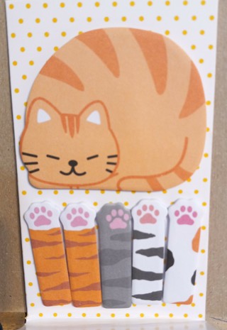 BN 20 SHEETS ANDSLEEPING ORANGE CAT