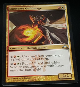 MTG ✨ Sunhome Guildmage - (U) 200/249 Gatecrash (GTC) ✨ Magic the Gathering (2013)