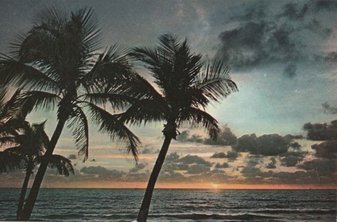 Vintage Unused Postcard: j: Florida Sunset
