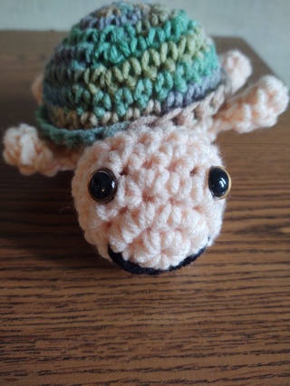 Hand Crocheted Amigurumi Turtle 