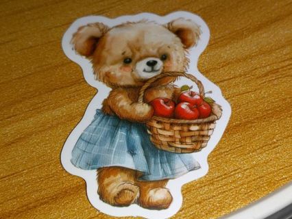 Kawaii 1⃣ Cute vinyl sticker no refunds regular mail only Very nice quality!