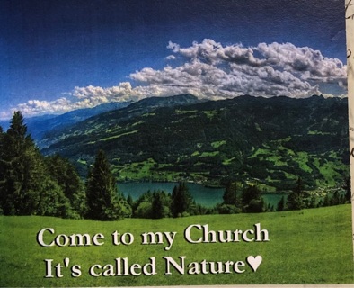 The church of nature - 3 x 4” MAGNET - GIN ONLY