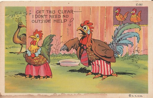 Vintage Unused Postcard: b: Comic, Linen: I don't Need No Outside Help!