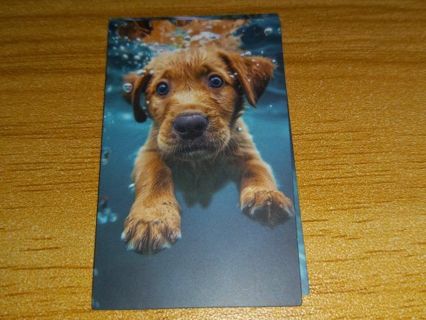 Dog Cute new one vinyl sticker no refunds regular mail only Very nice win 2 or more get bonus