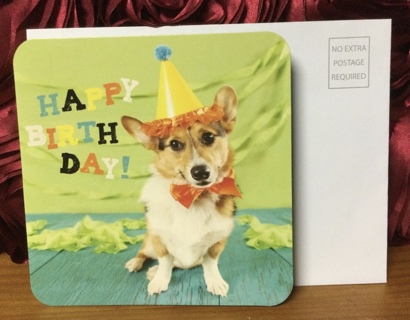 Happy Birthday DOG in Party Hat Card with Envelope